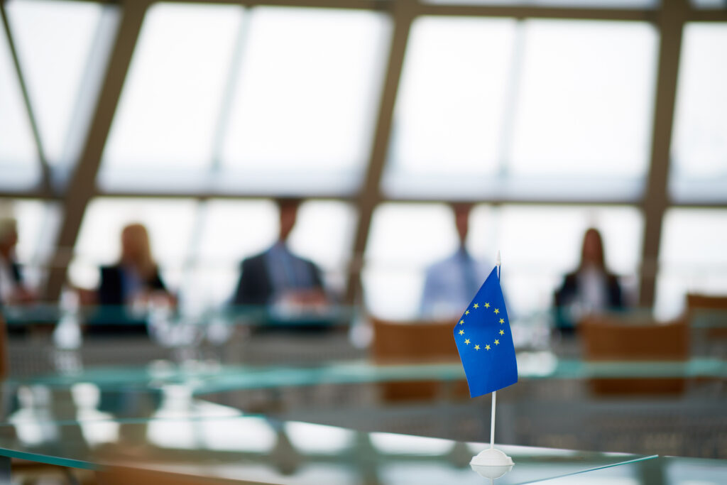 EEA, EØS, EØS-avtalen, møtebord, EU-flagg, stå utenfor, demokrati, EU