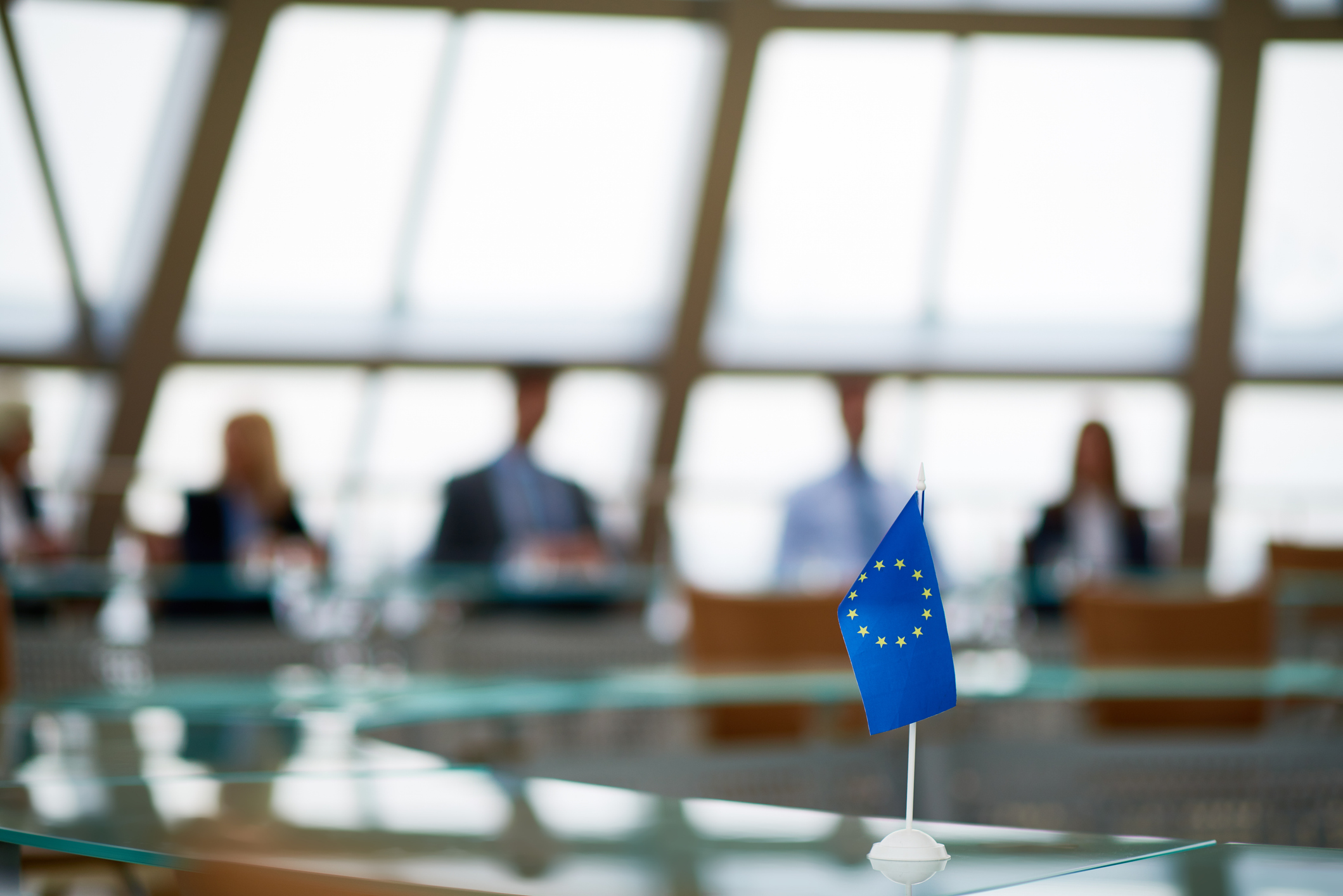 EEA, EØS, EØS-avtalen, møtebord, EU-flagg, stå utenfor, demokrati, EU